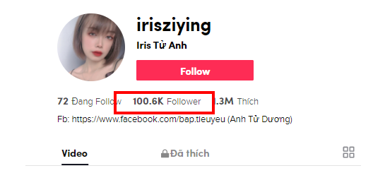 dịch vụ tăng follow tiktok