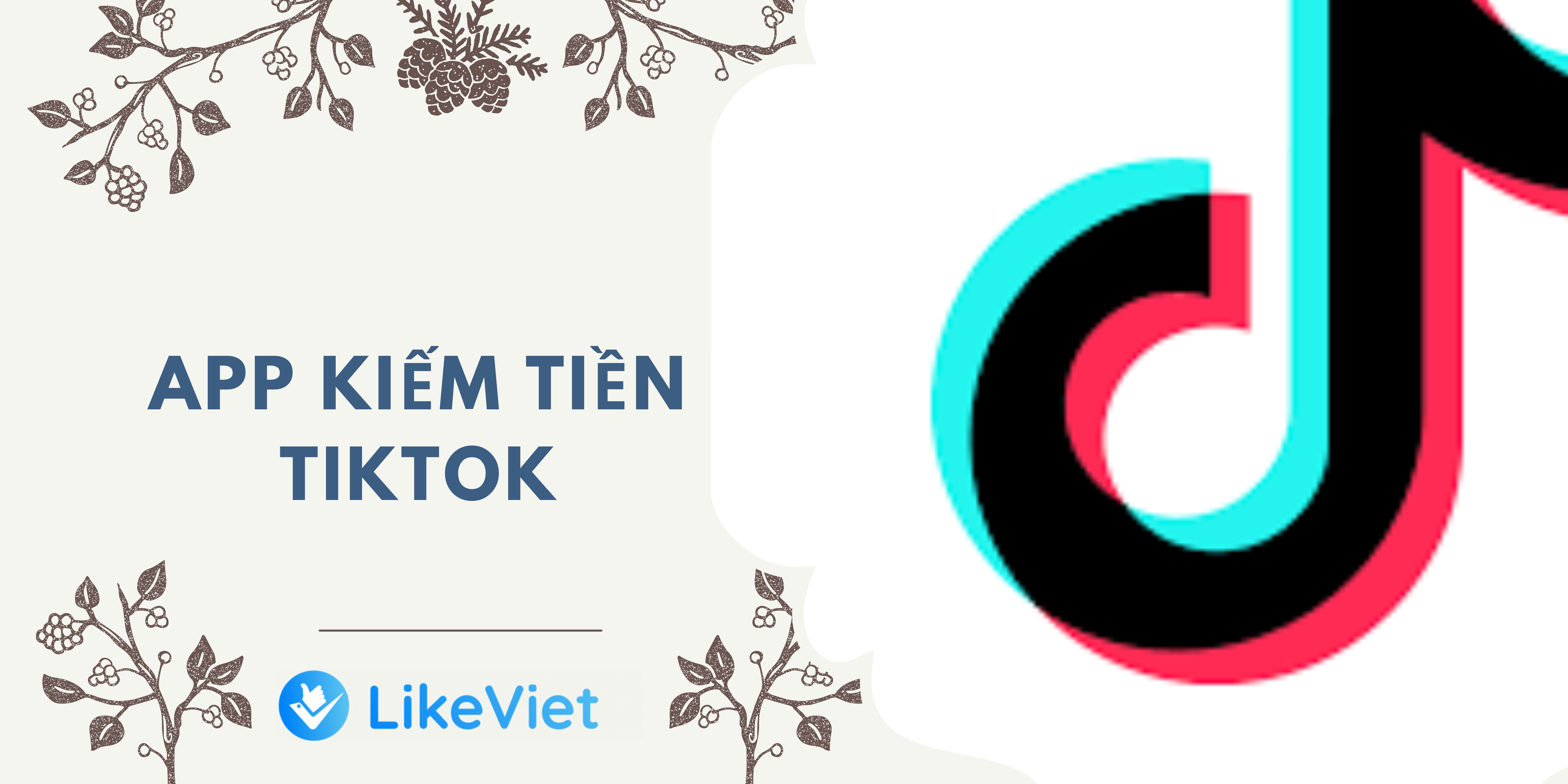 App kiếm tiền Tiktok