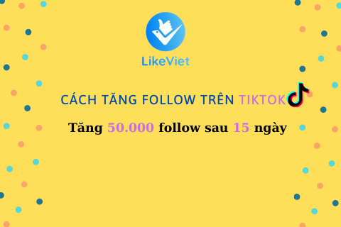 Cách tăng follow trên TikTok - Tăng 50.000 follow sau 15 ngày