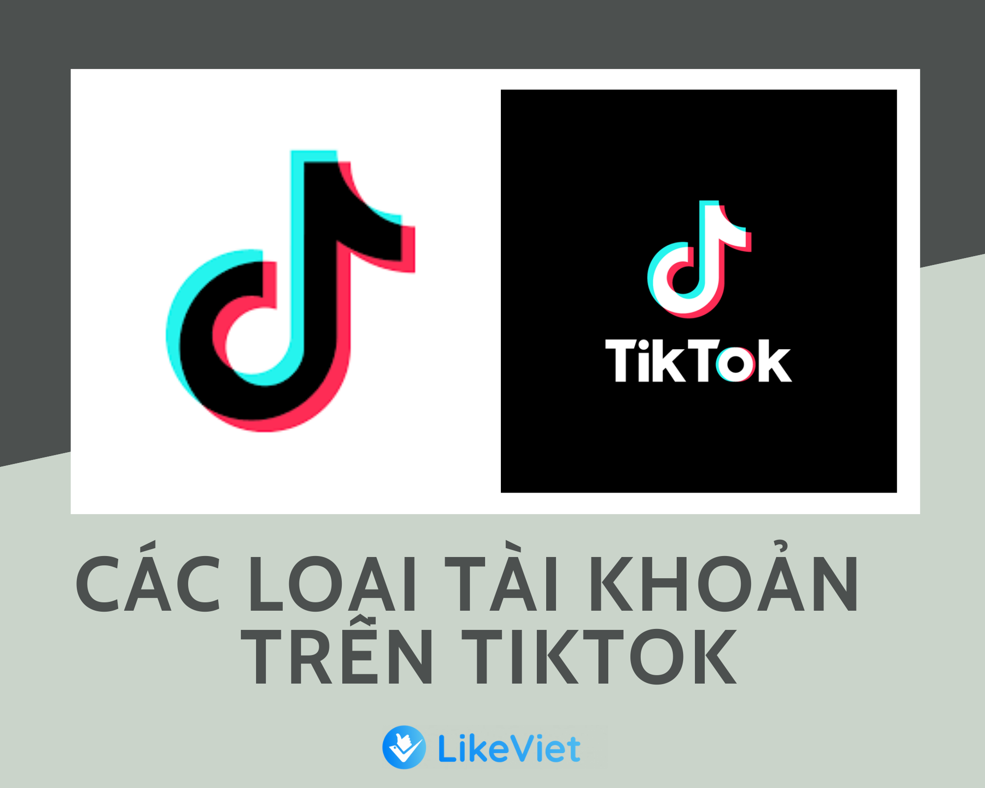 các loại tài khoản Tik Tok