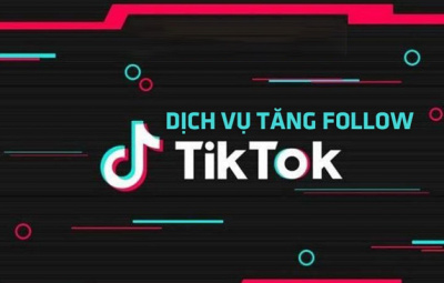tang-follow-tik-tok-gia-re-1