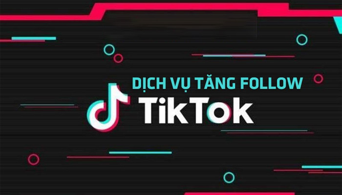 tang-follow-tik-tok-gia-re-1